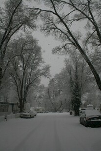 雪后静谧街道景象
