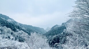 冬日雪覆山峦美景