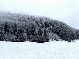 雪覆山林的冬日纯净美景