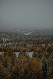 雾中斑斓秋景山林俯瞰