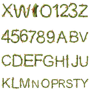 数字字母