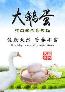 鹅蛋海报