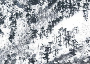 水墨山林风景图