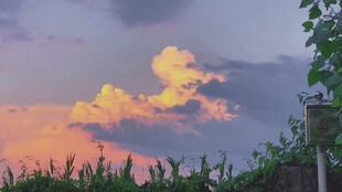 夕阳下的田野与绚烂云彩