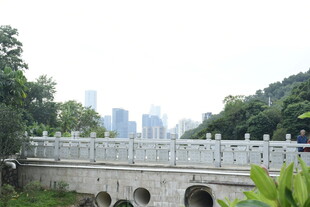 古代小桥灰色石桥