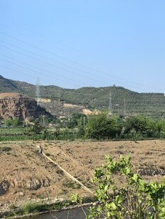 远山近景绿意