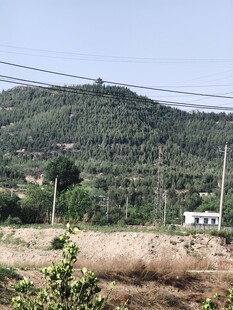 乡村山野风光景色