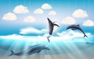 海空间跃动的海豚美景