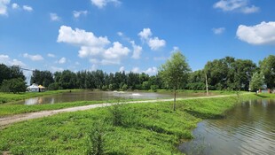 乡村河畔美景