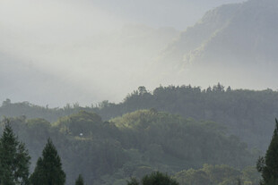 山峦 雾气