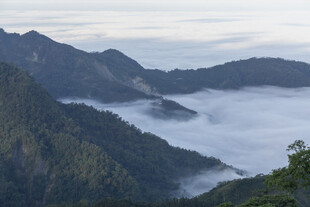 青山 云海