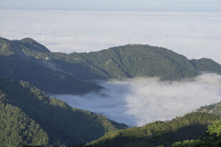 青山 云海