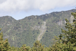 山峦 植被
