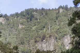 山林 峭壁 