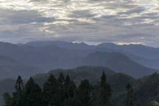 山峦 云海 