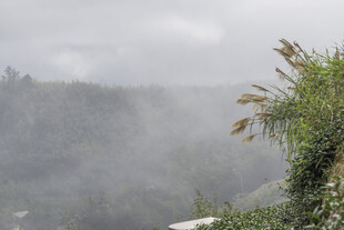 山间 雨雾