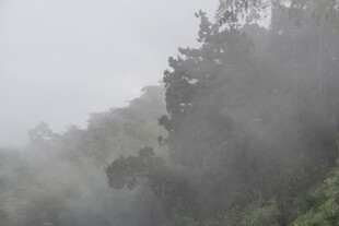 山间 迷雾 