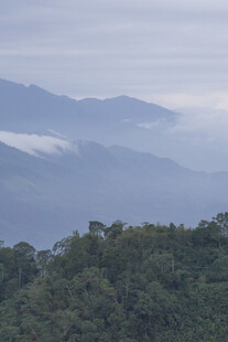 山 云雾