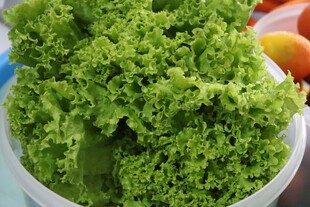 新鲜生菜