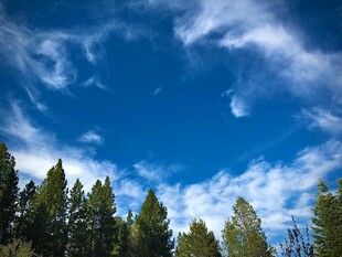 蓝天绿树间的美丽景致