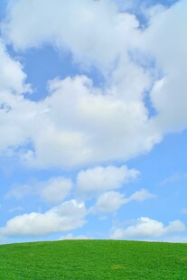 蓝天白云下的翠绿草地