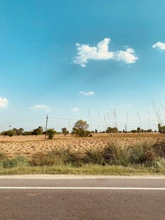 公路旁的开阔田野风光