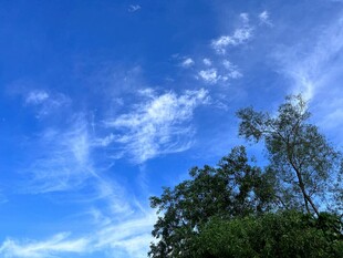 蓝天绿树间的美丽景致
