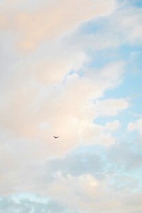 天空中飞翔的孤独小鸟