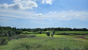 田园风光美景