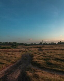 田野间的土路与美丽天空
