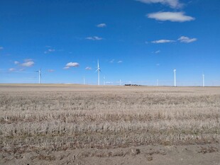 广袤田野上的风力发电景观