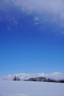 蓝天覆雪的大地