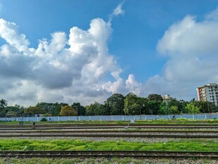 蓝天白云下的田野风光