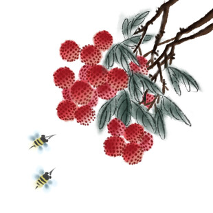 水墨荔枝插画