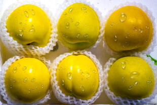 黄桃摆在网套中