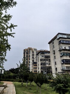 小区住宅楼周边绿化景观