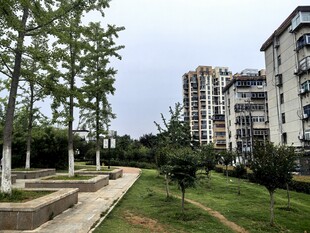 小区内的绿化景观