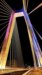 璀璨夜景下的绚丽斜拉桥