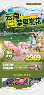 赏花旅游海报