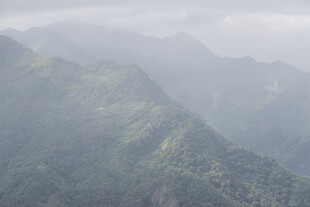 云雾缭绕的翠绿山峦