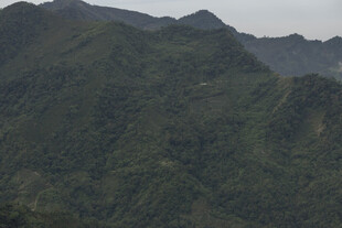 山峦叠翠的绿色自然景观