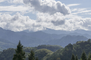 山峦云海间的葱郁景致