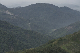 山峦叠翠的自然美景