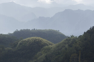 山林间的朦胧远山景色
