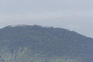 青山葱郁的秀丽山顶景色