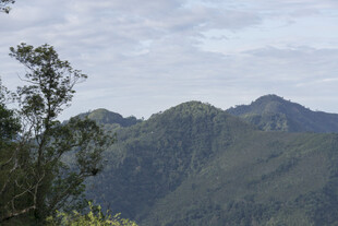 青山绿树间的秀丽山景