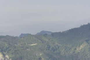 青山葱郁间蜿蜒山路