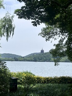 湖畔美景 绿树碧水远山