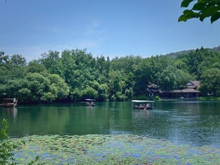 湖畔绿意盎然的宁静风光