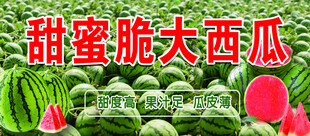 甜蜜脆大西瓜